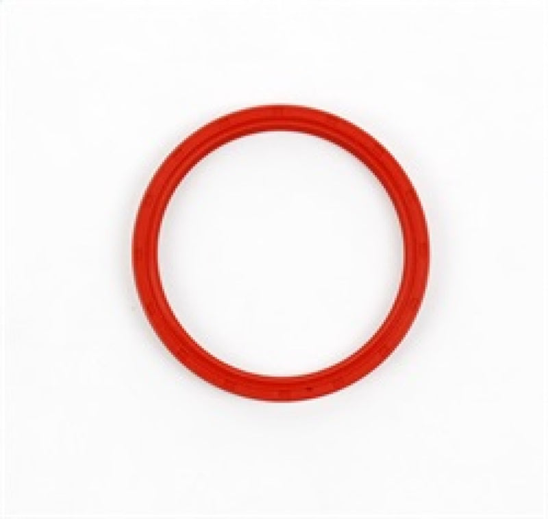 Cometic 96-04 Ford 4.6L SOHC/DOHC 1 Piece Rear Main Seal Sale